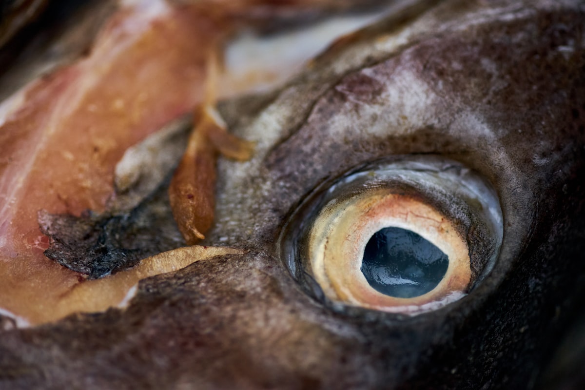 Lutein-rich vegetables for eye health